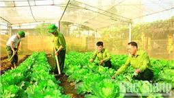 Doanh trại chính quy từ bàn tay bộ đội
